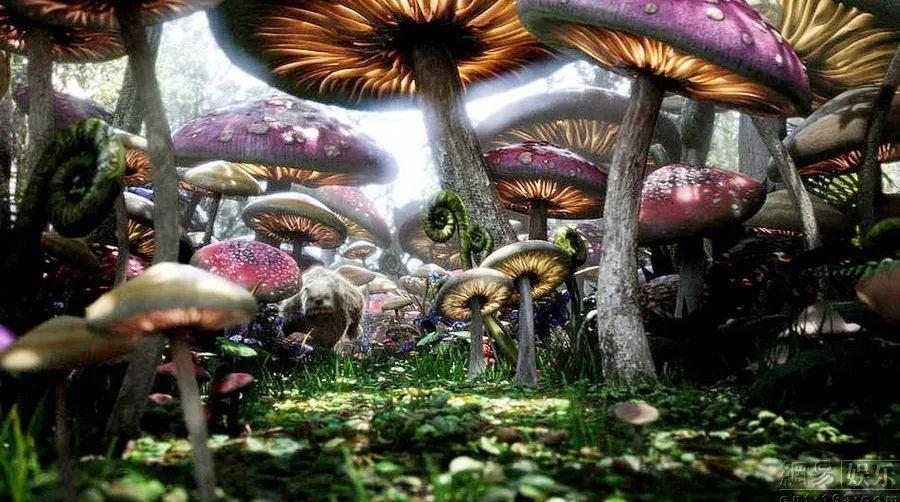 长期加班的人如何自我调节？游戏画面